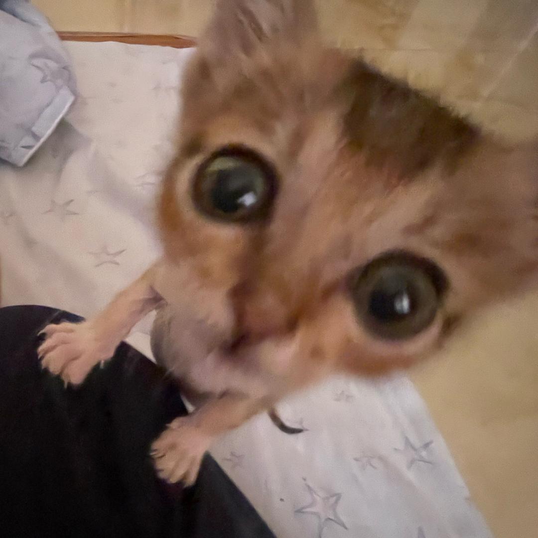 咻。