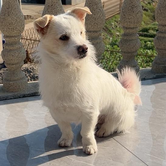 是招财吖💫