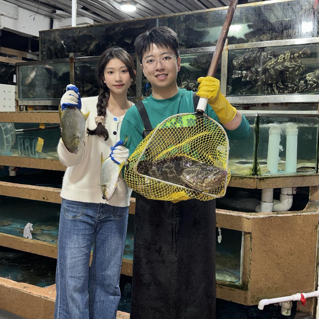 肥双兄妹海鲜海先到