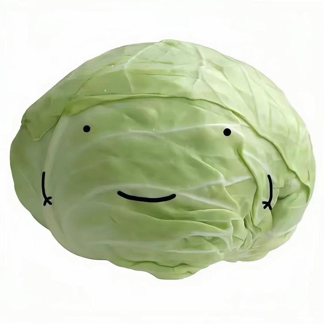 一大颗卷心菜