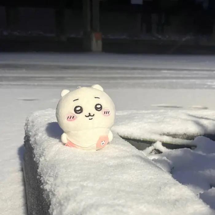 灰