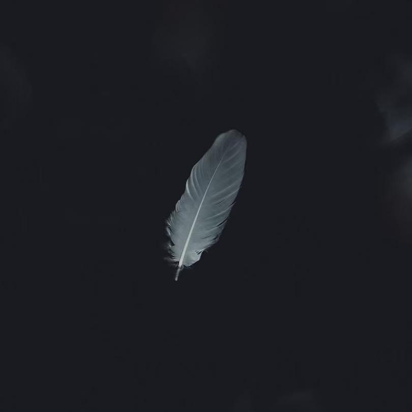 楊洋🫧