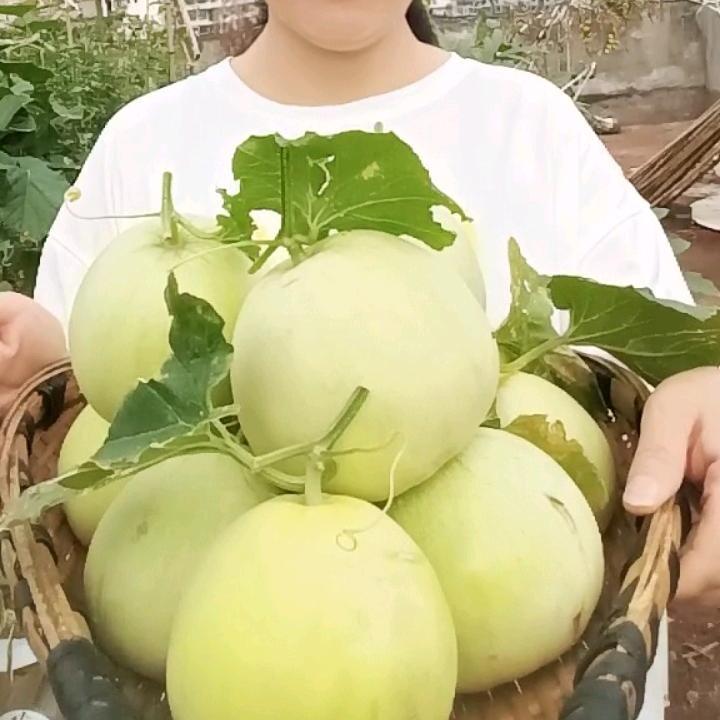 川蜀容姐小菜园