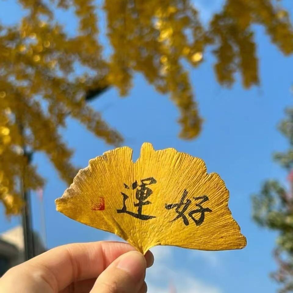 抚州红娘