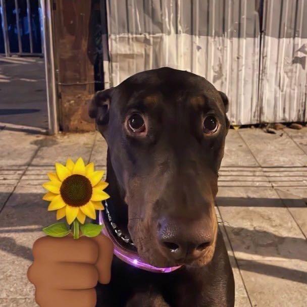 每天迟到半小时