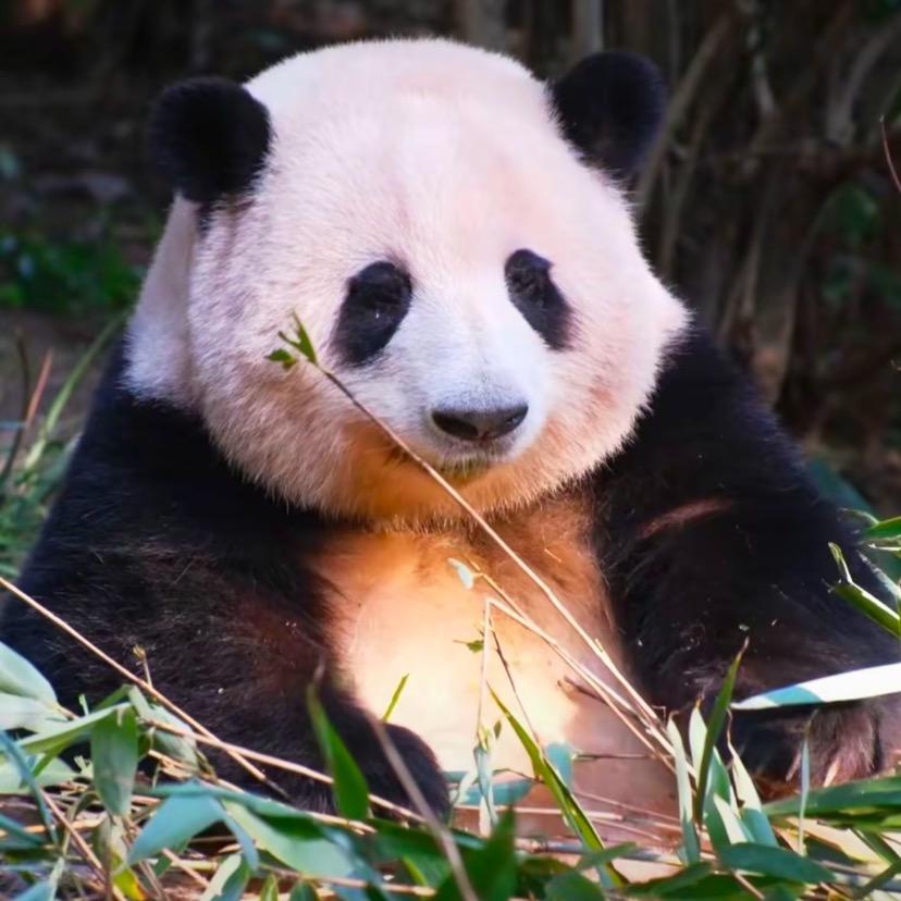 🌻正能量娇☀️🌈