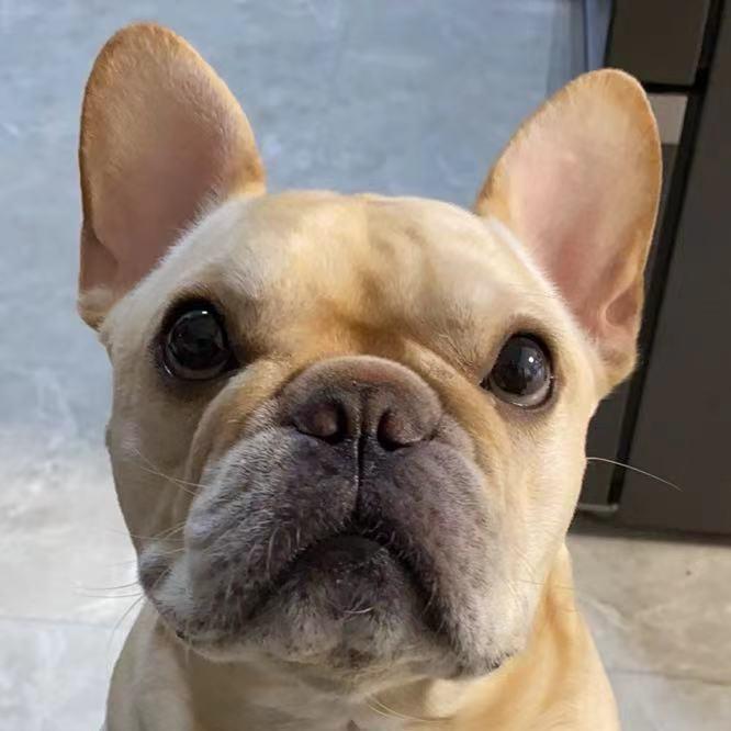 王泥巴和小后妈的日常活动