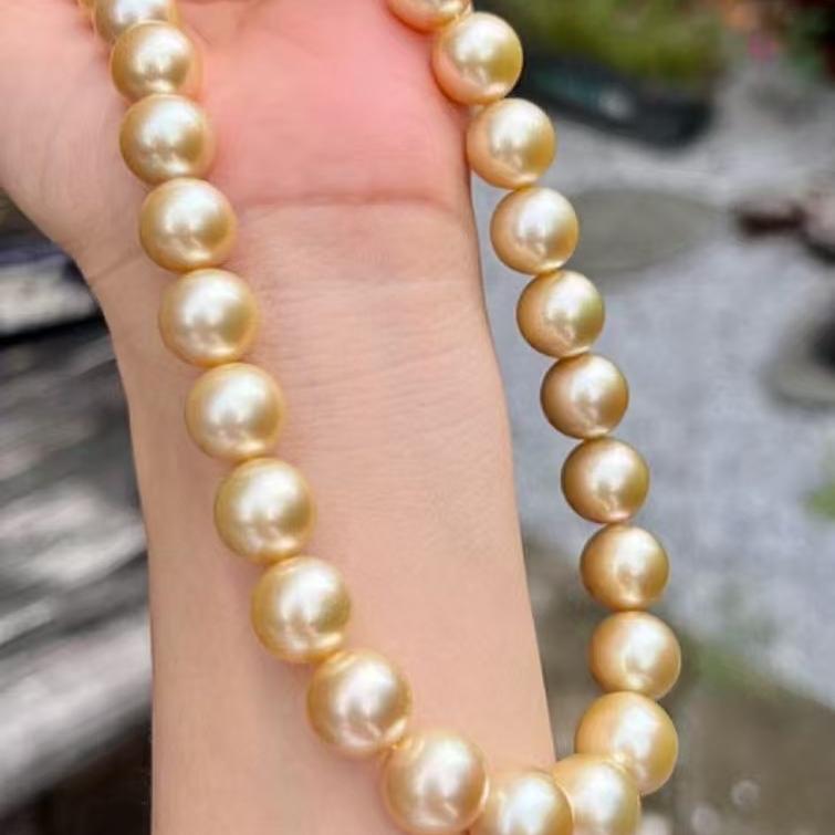 zhenqi8163