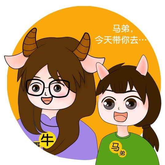牛马的一天