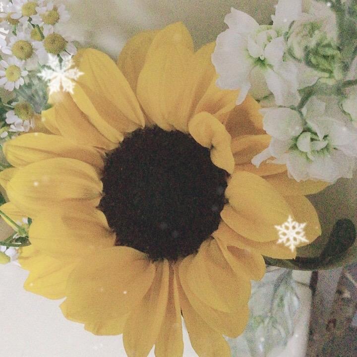 糖糖: