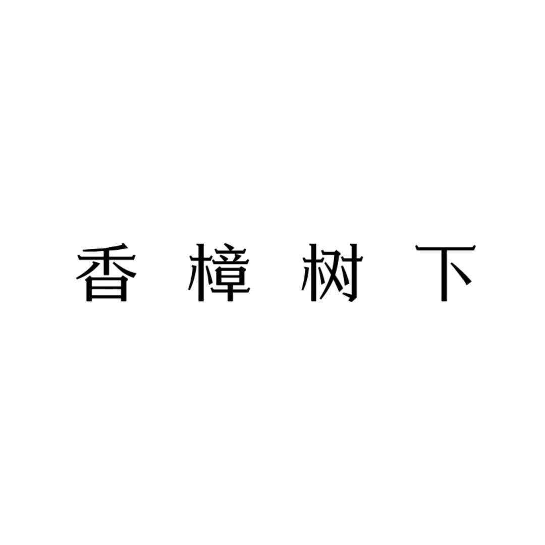 香樟树下·照相馆