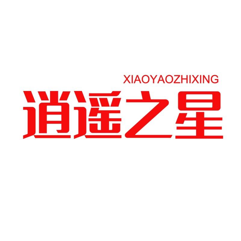 逍遥之星中山星锐运动科技有限公司健身训练专卖店
