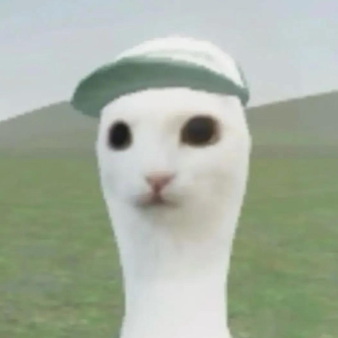 茄子王EK