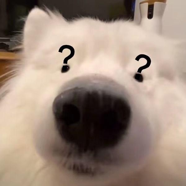 芭夯兔