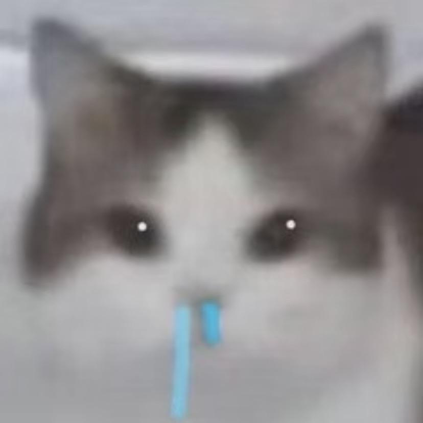 ir