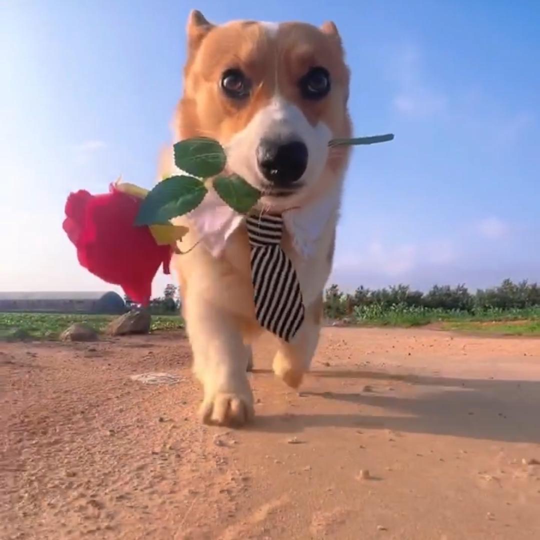 浮山归梦远万重