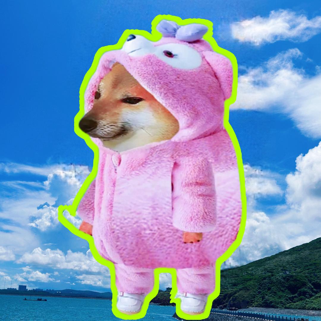Cheems洋芋