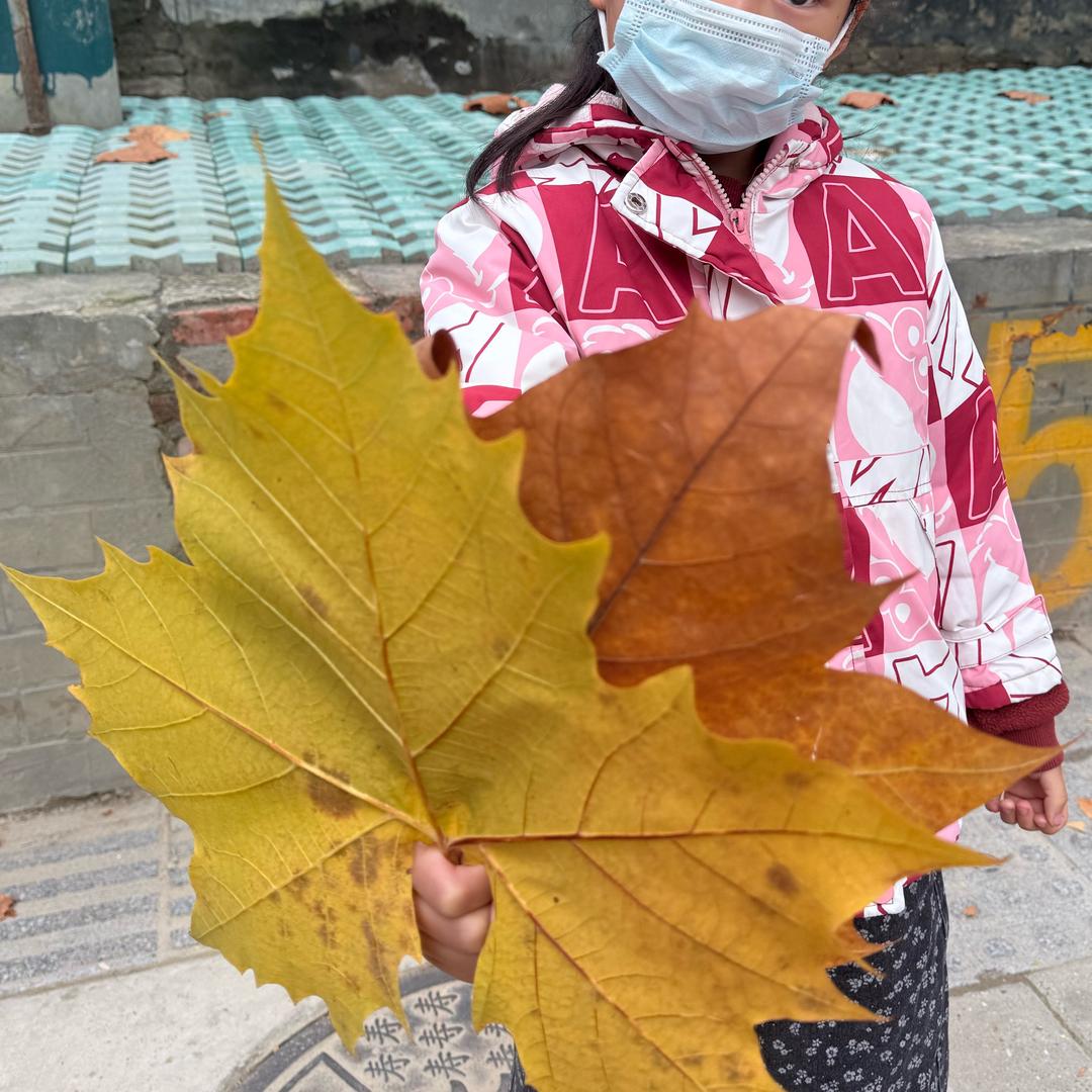 小糯糯呀