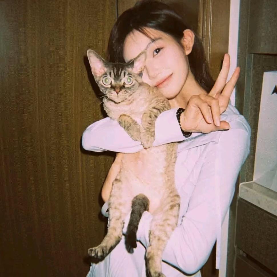 林北北.🖤