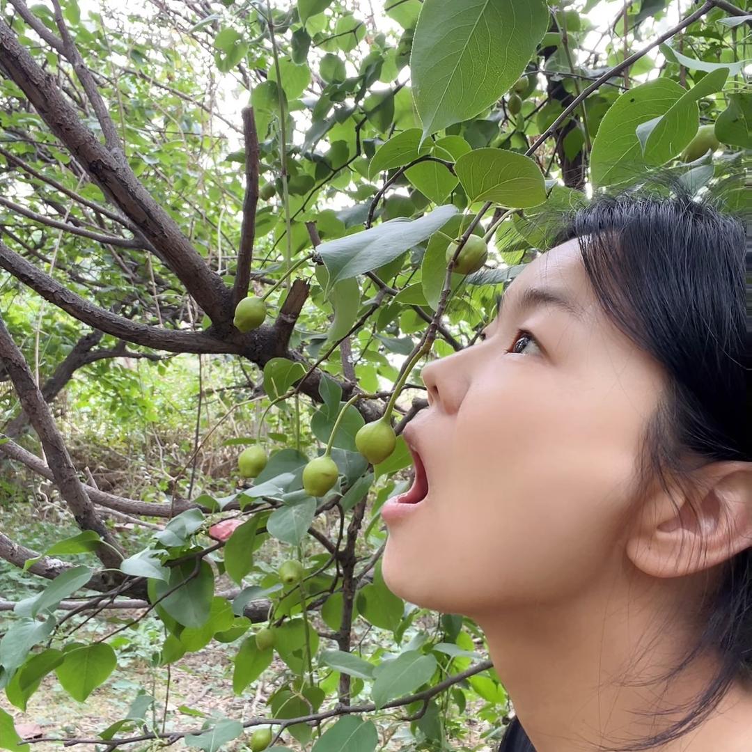 果树旺中王🔥
