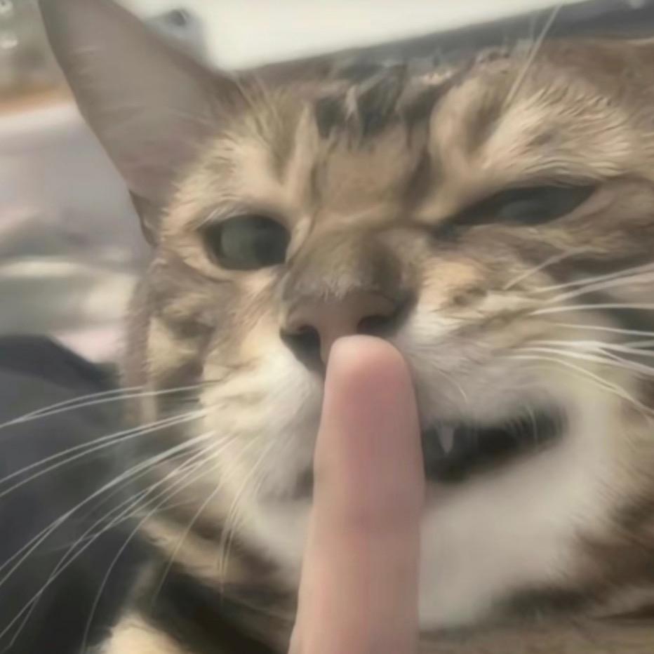 是喜喜呀