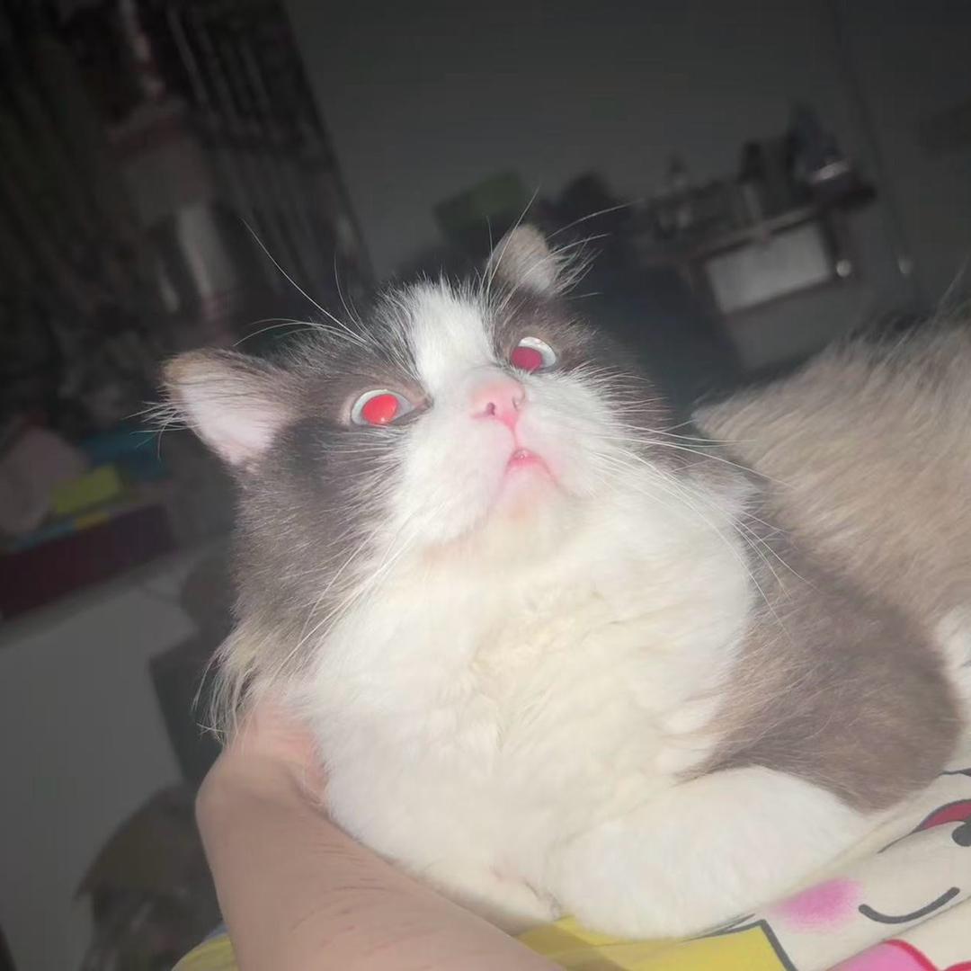 CF一顿送
