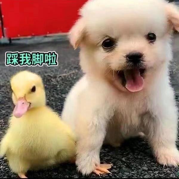 你是我唯一