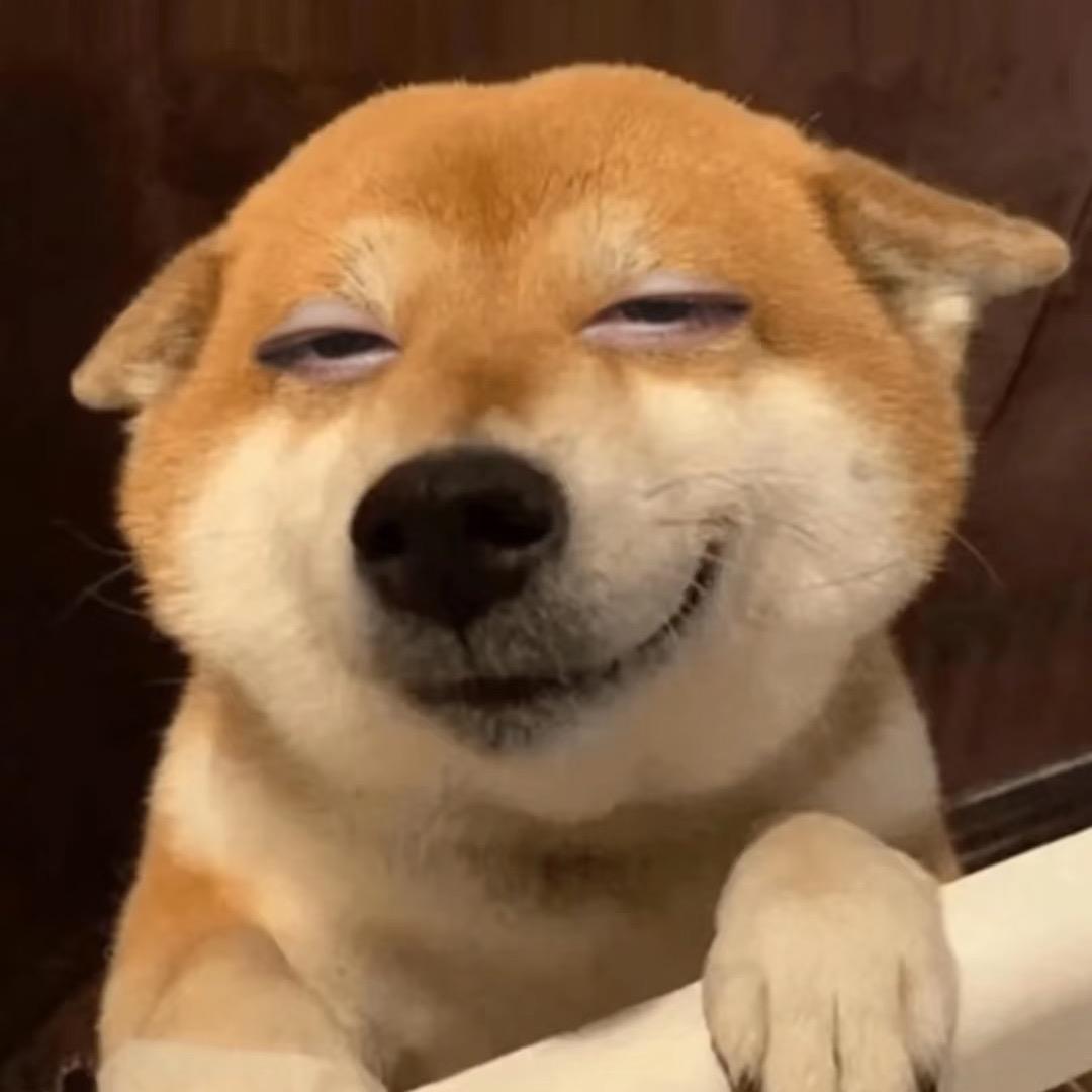 ………..