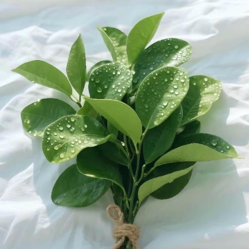 木木木