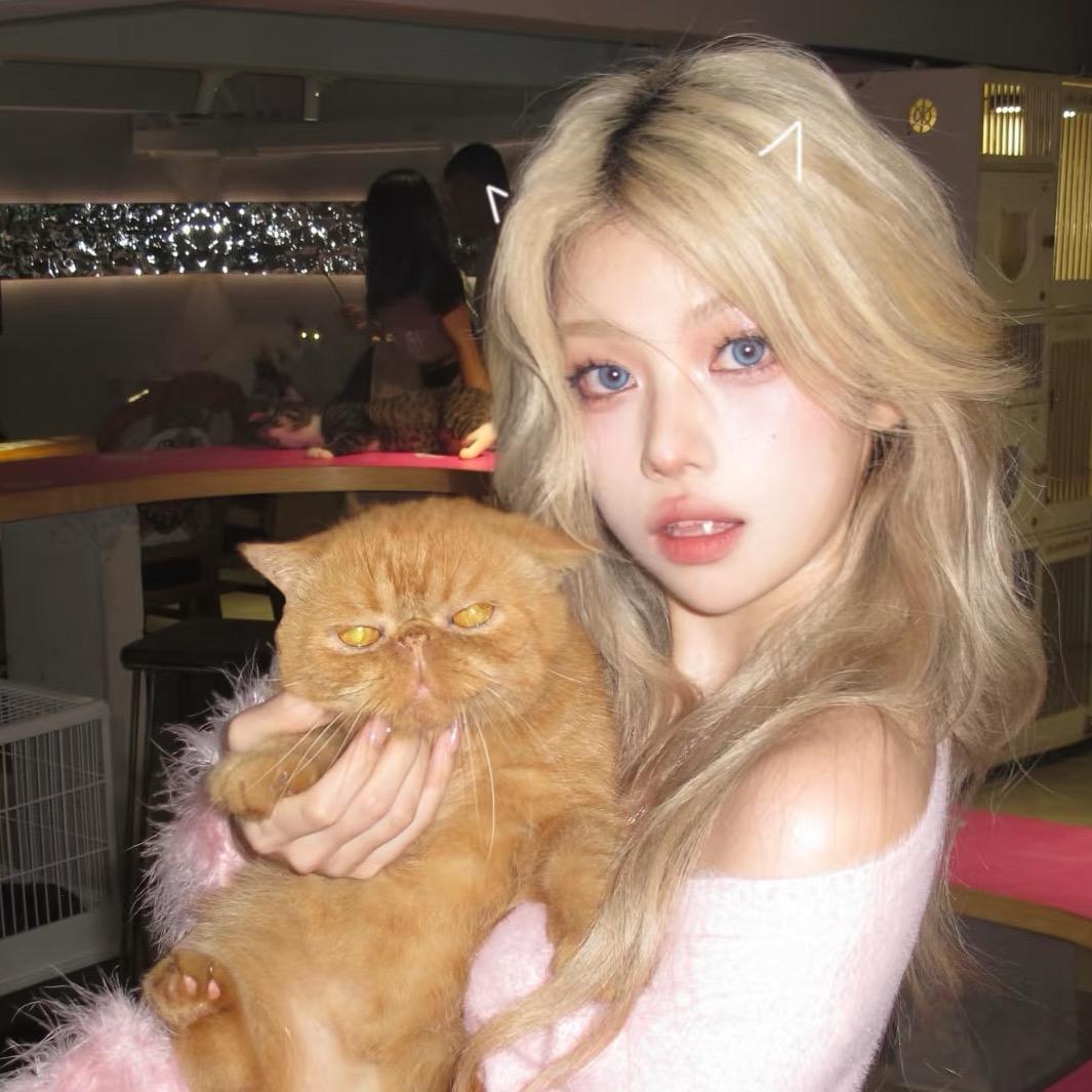 好想养小猫🐱