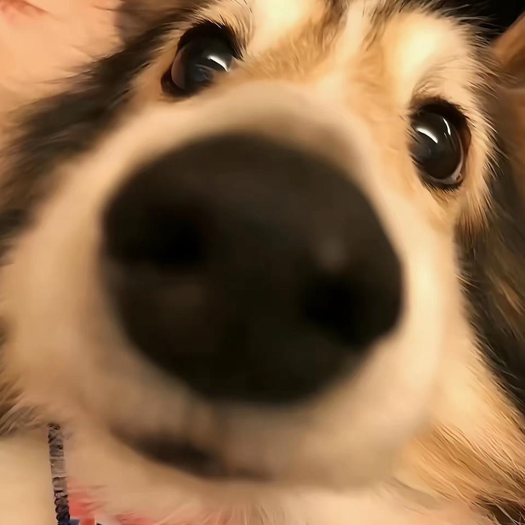 月岛_🌙