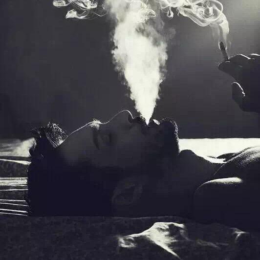 牵着蚂蚁去散步