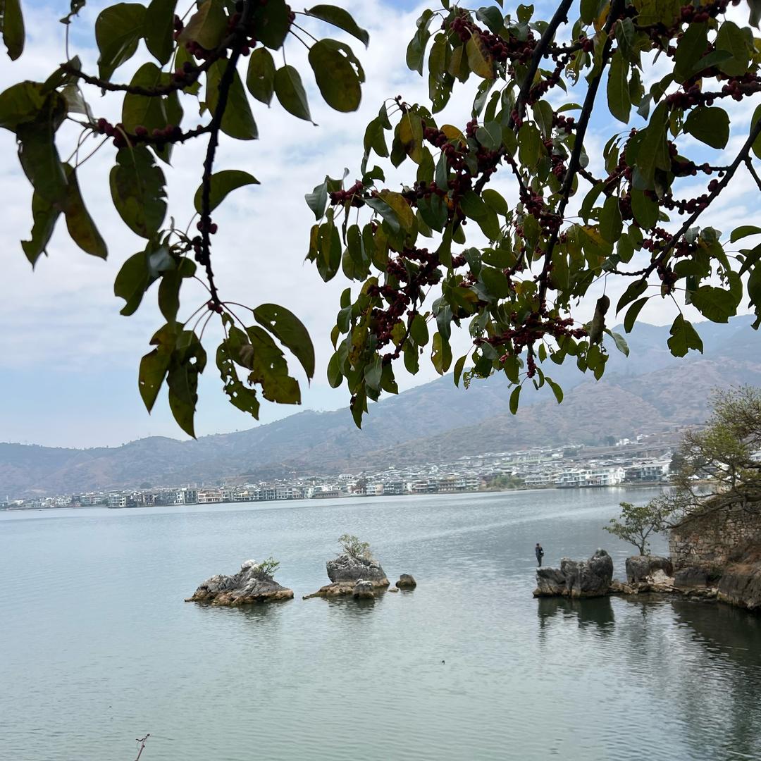 青山绿水