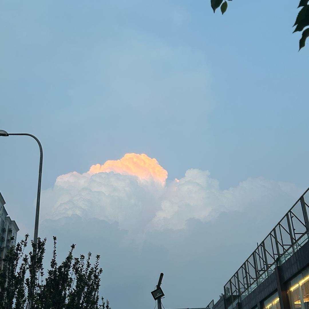 学习看我