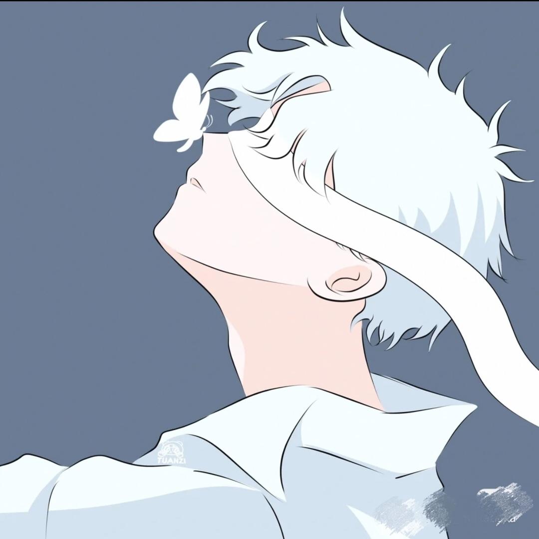 Ｄ－B O Y