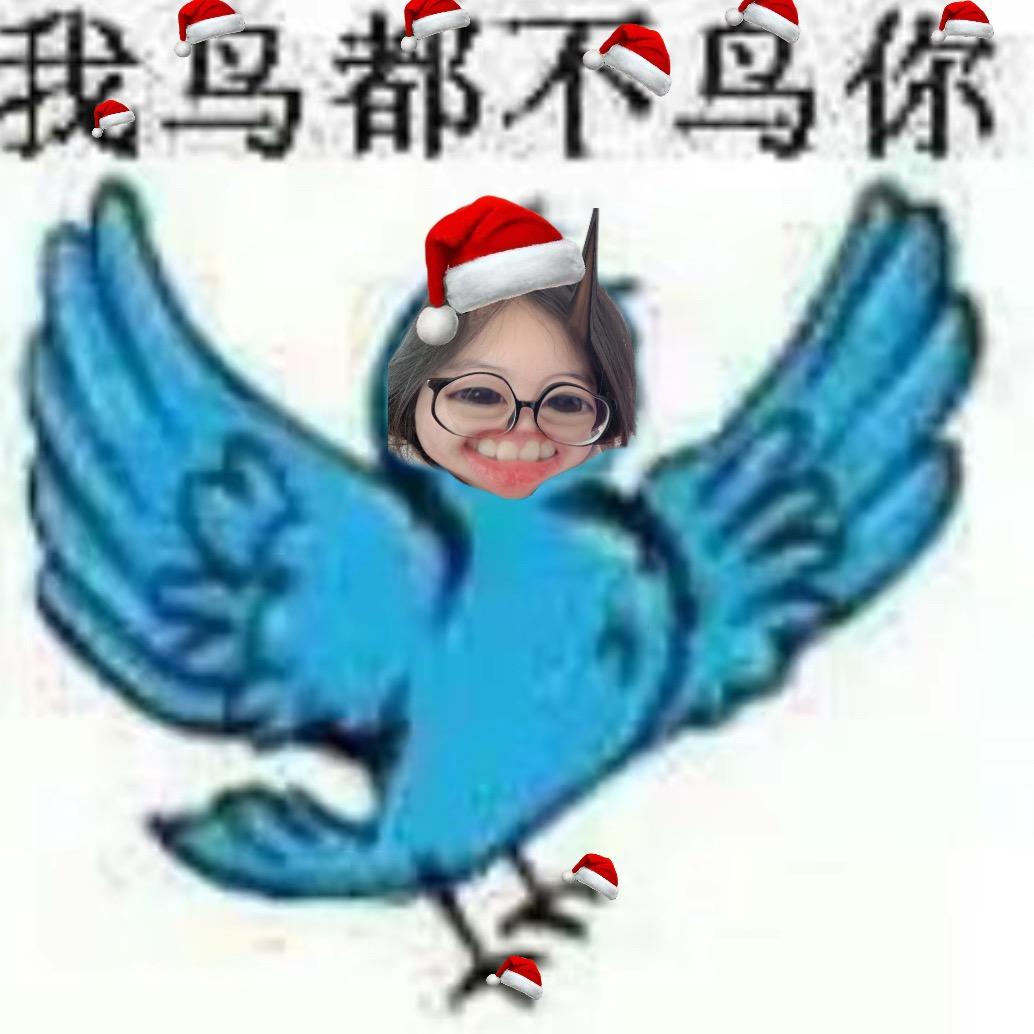 宅猫送᳐狗᳐੭ﾞ