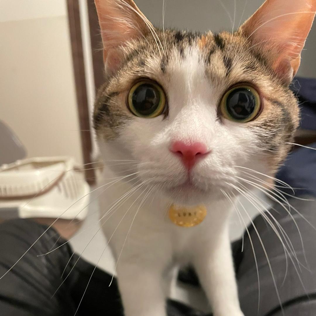 桃子ちゃん