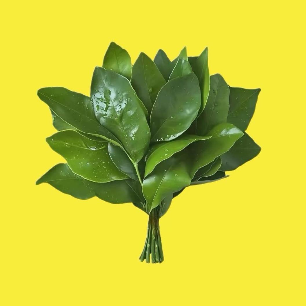 এ派大星星点灯。