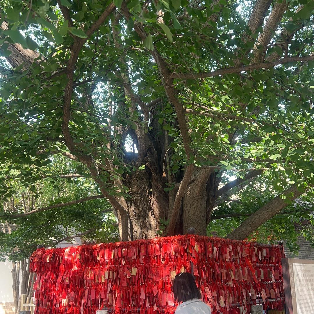 芜湖诚庆玻璃有限公司、