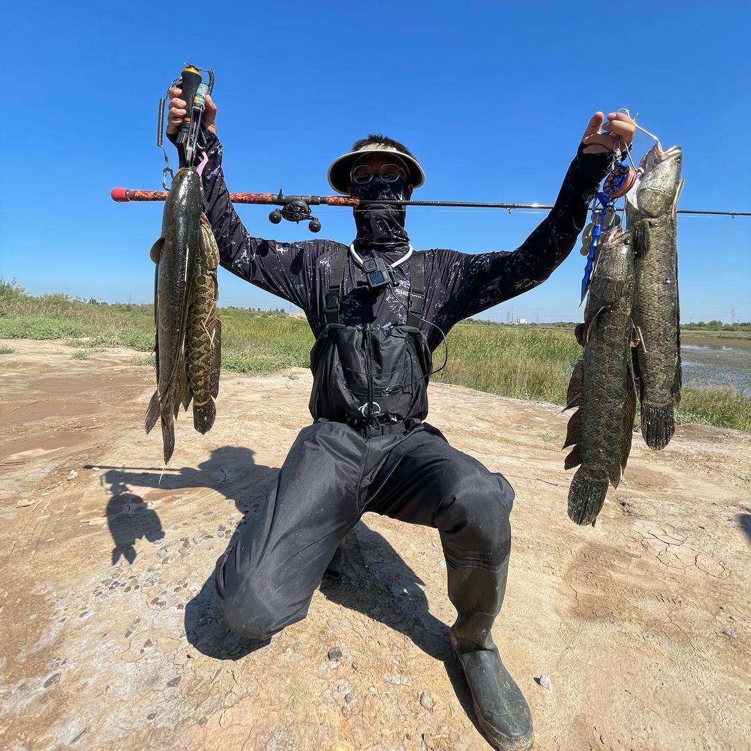 拿捏小老黑之阿昊🐟