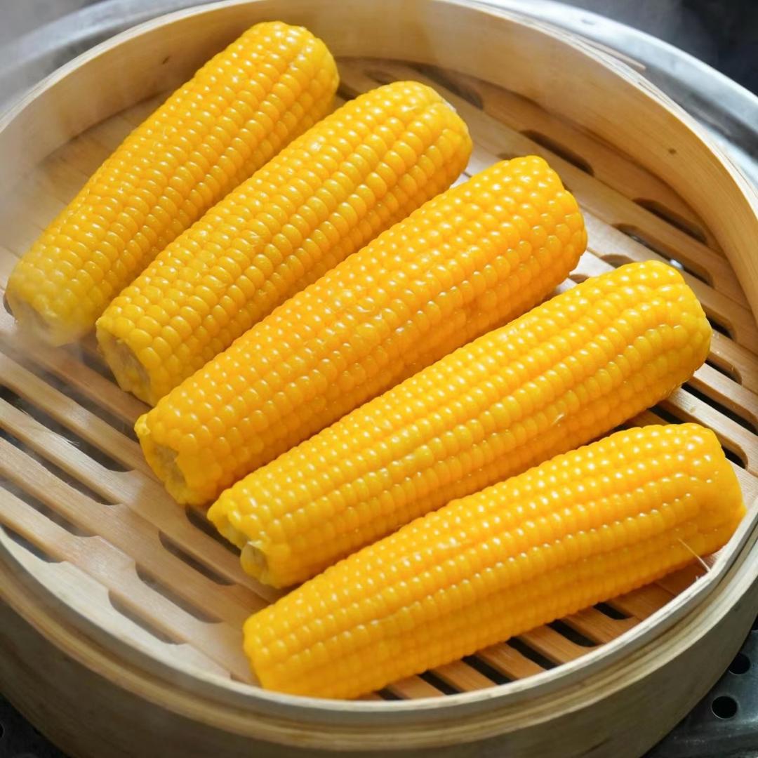 糖果家的玉米地