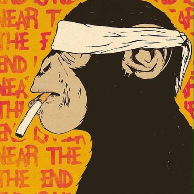 CF星光🦅（账号测评）