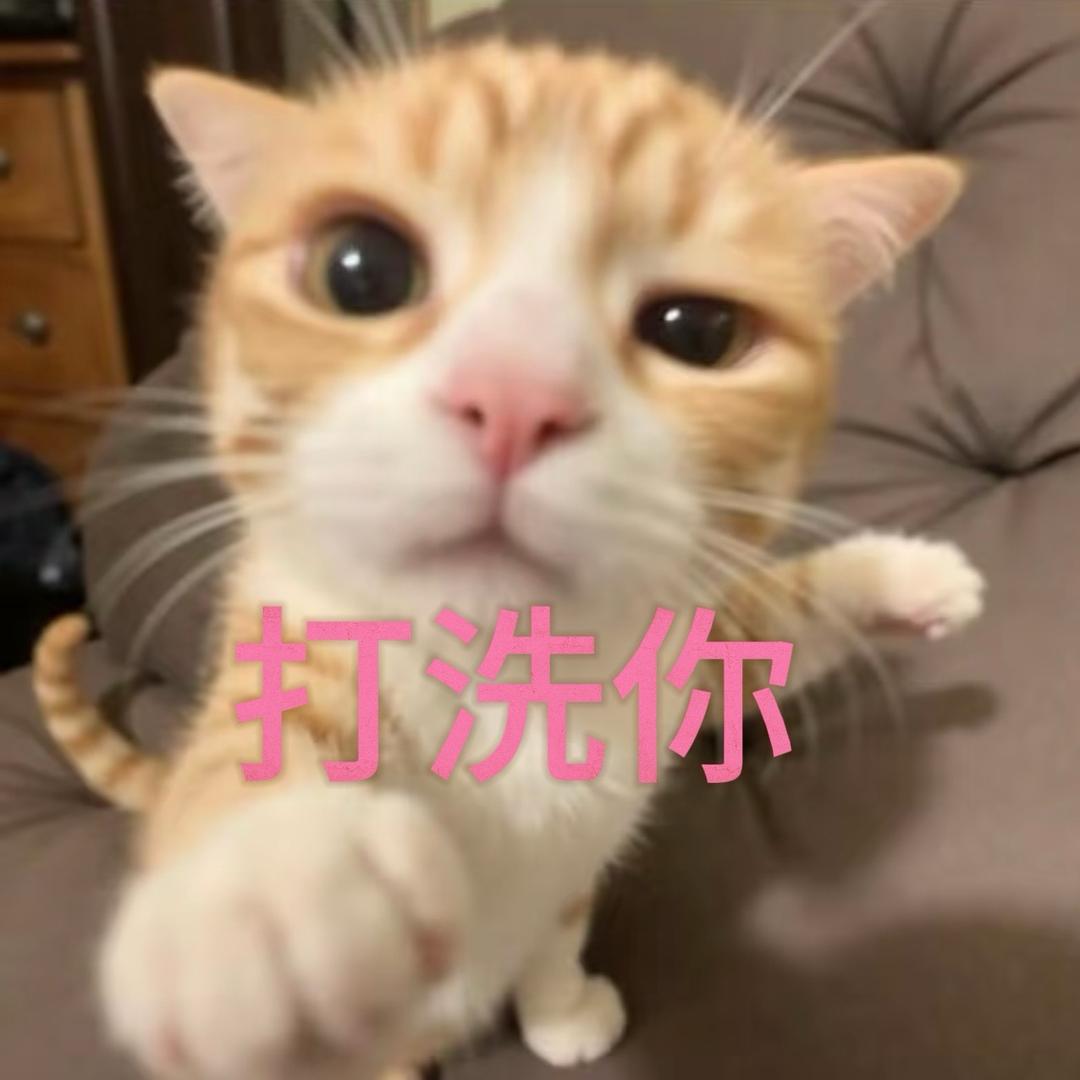 不讲道理的小鱼