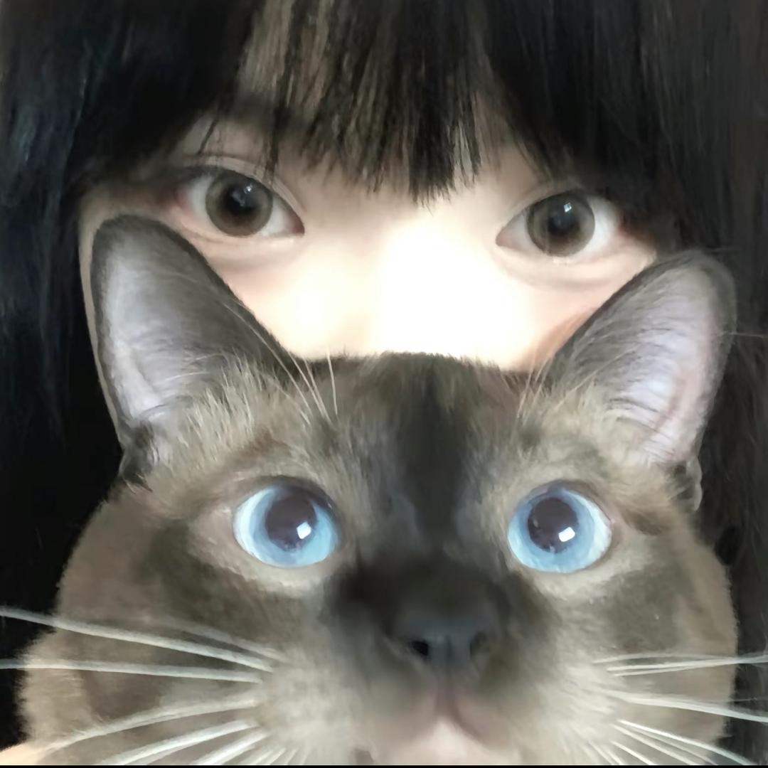 爱吃香菜的猫🌈