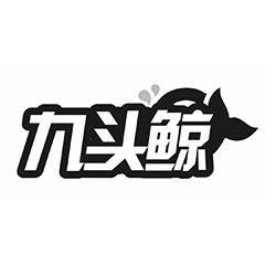 九头鲸灯饰旗舰店