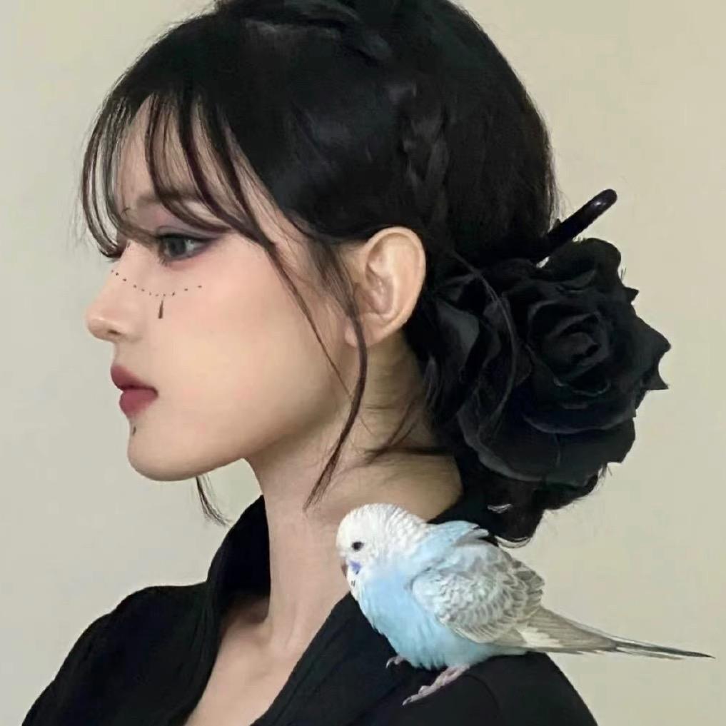 天天漂漂亮亮👗