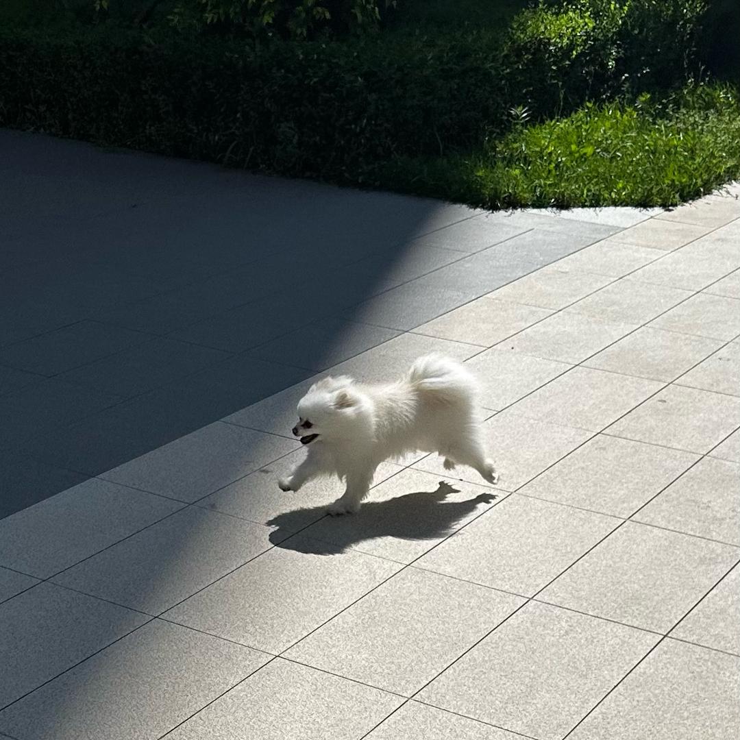宁