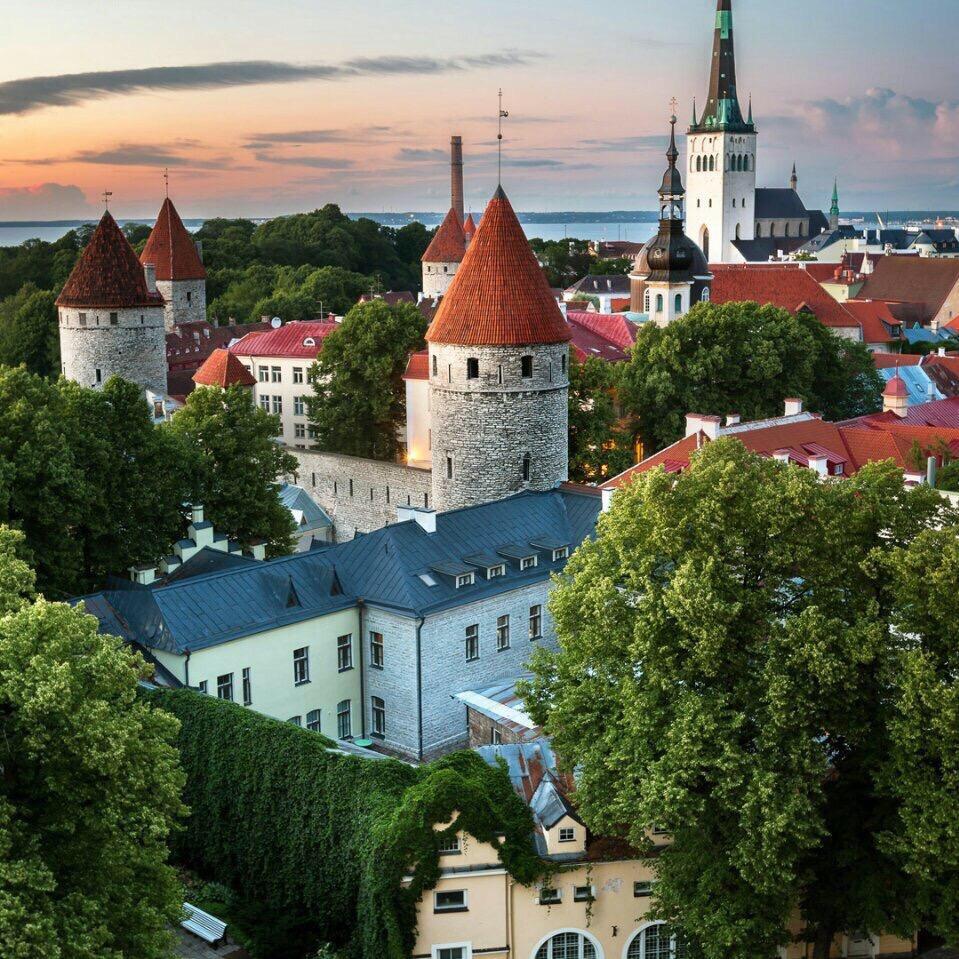 陈总是承包毛竹山的