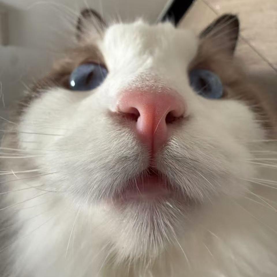 于涉
