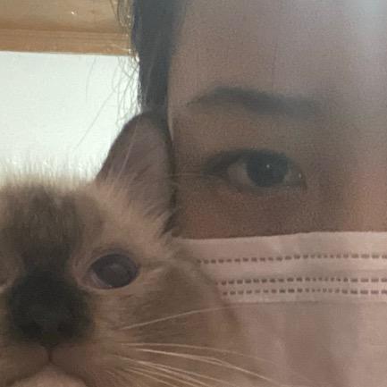 头发像鸡窝